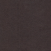 Сонтекс амбер