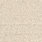 Сонтекс бейдж