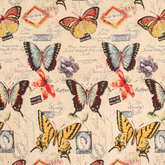 Хистори баттерфляй